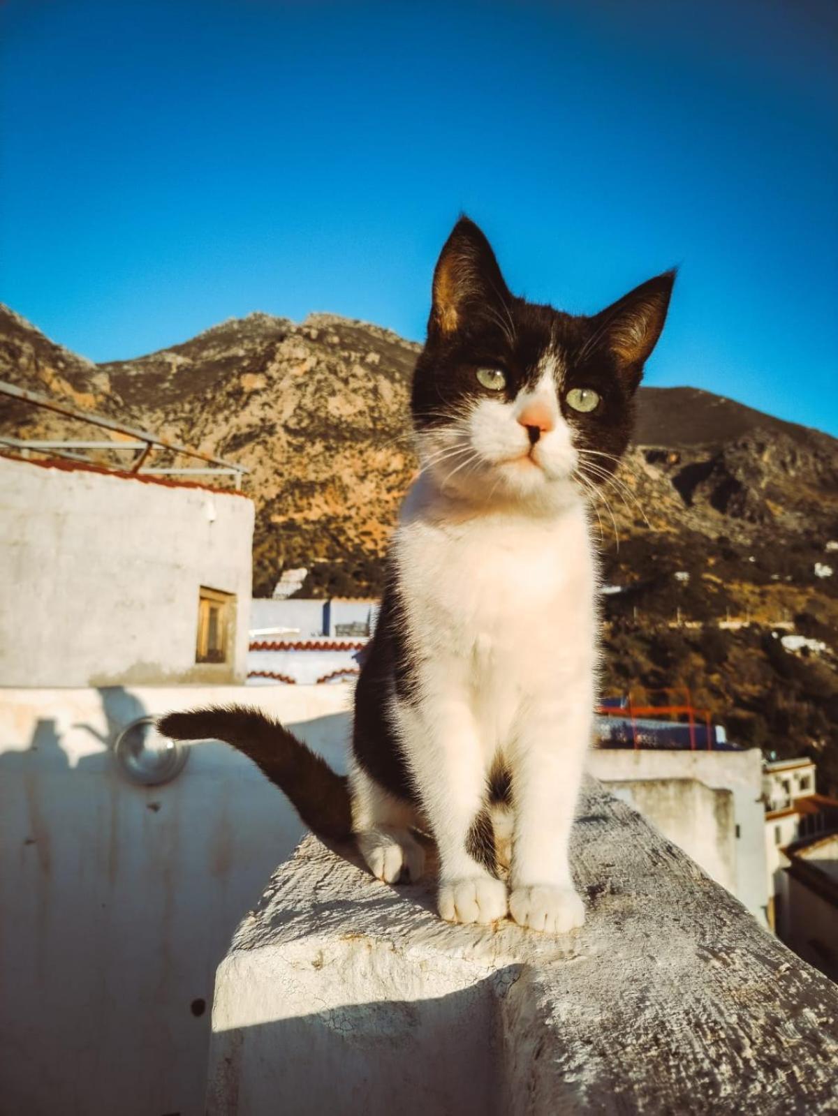 Riad La Santa Chefchaouen Bagian luar foto